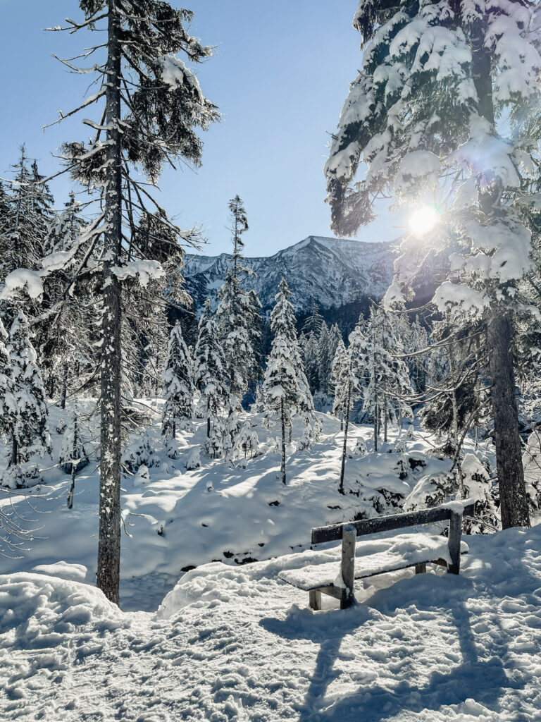 Winterwandern-Winterwanderung-Wildbad-Kreuth-Siebenhüttenalm-Kleine-Wolfsschlucht-Winterlandschaft-Schnee-Sonne-Winter-Wonderland-Mangfallgebirge-Bank-Aussicht-living.elements