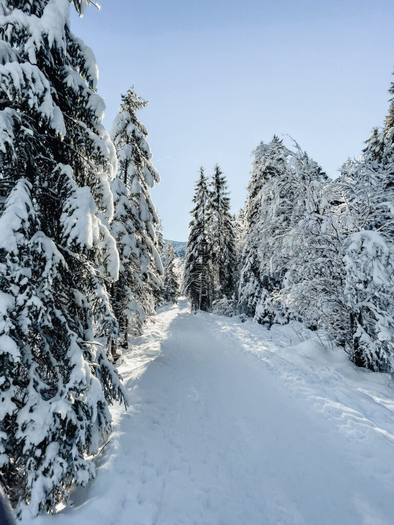 Winterwandern-Winterwanderung-Wildbad-Kreuth-Siebenhüttenalm-Kleine-Wolfsschlucht-Winterlandschaft-Schnee-Sonne-Winter-Wonderland-Mangfallgebirge-beschneite-Tannen-living.elements