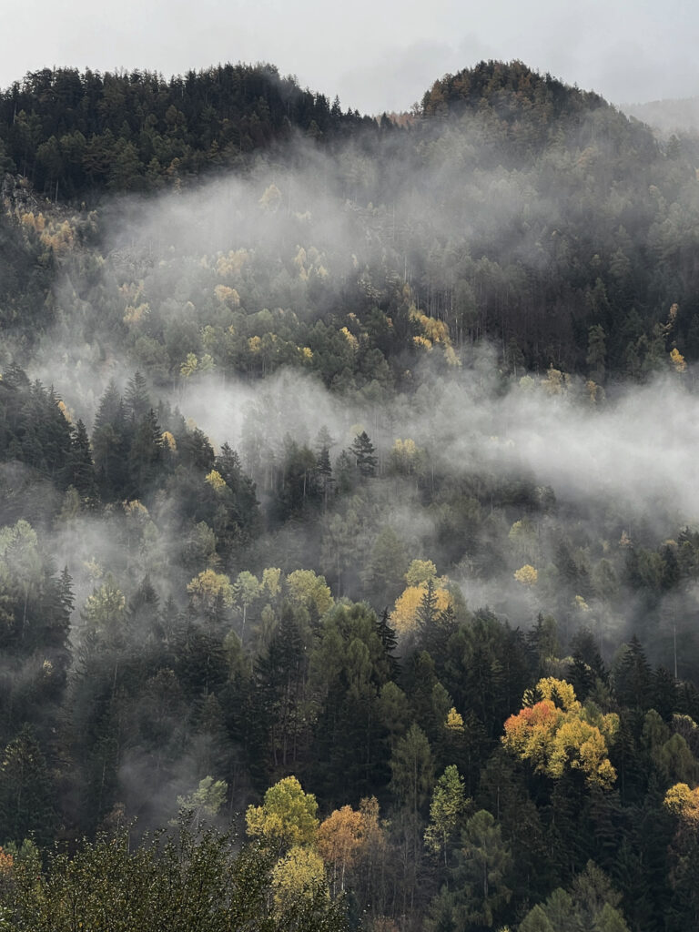 living.elements-lebenszeichen-18-bergwald-wolken-oktober